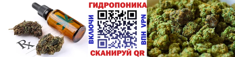 продажа наркотиков  omg ссылка  Печенье с ТГК марихуана  Фокино 