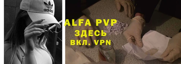 ECSTASY Абаза